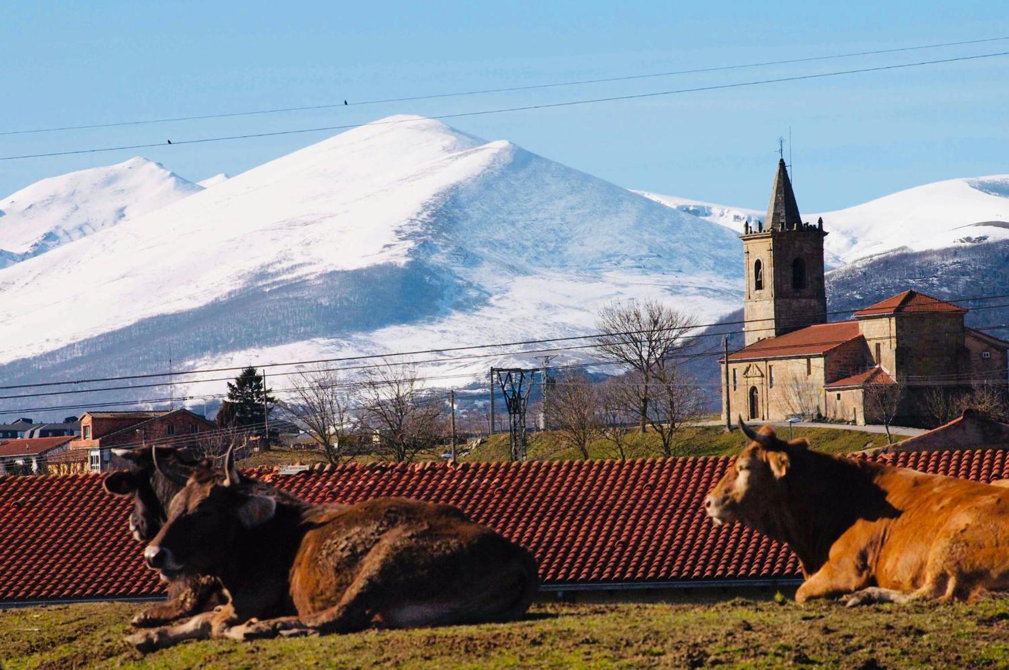 La Regalia De Requejo Villa Reinosa Bagian luar foto